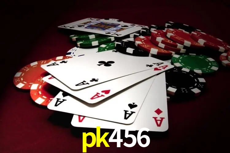 Programa VIP pk456